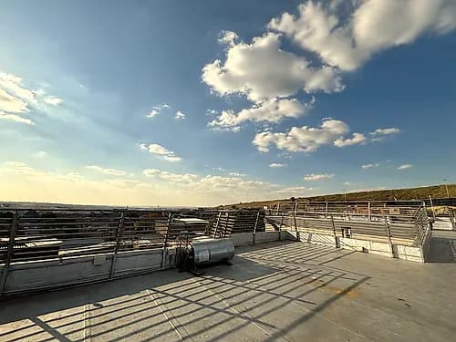 Roof 2